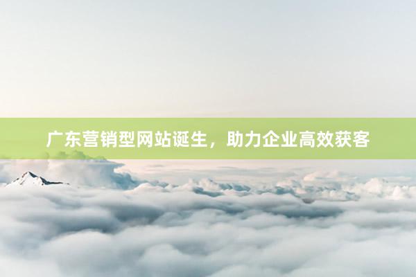 广东营销型网站诞生，助力企业高效获客