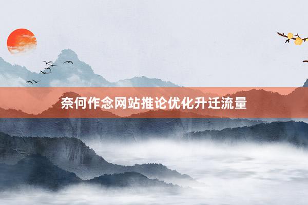 奈何作念网站推论优化升迁流量