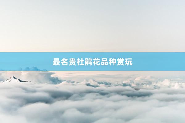 最名贵杜鹃花品种赏玩